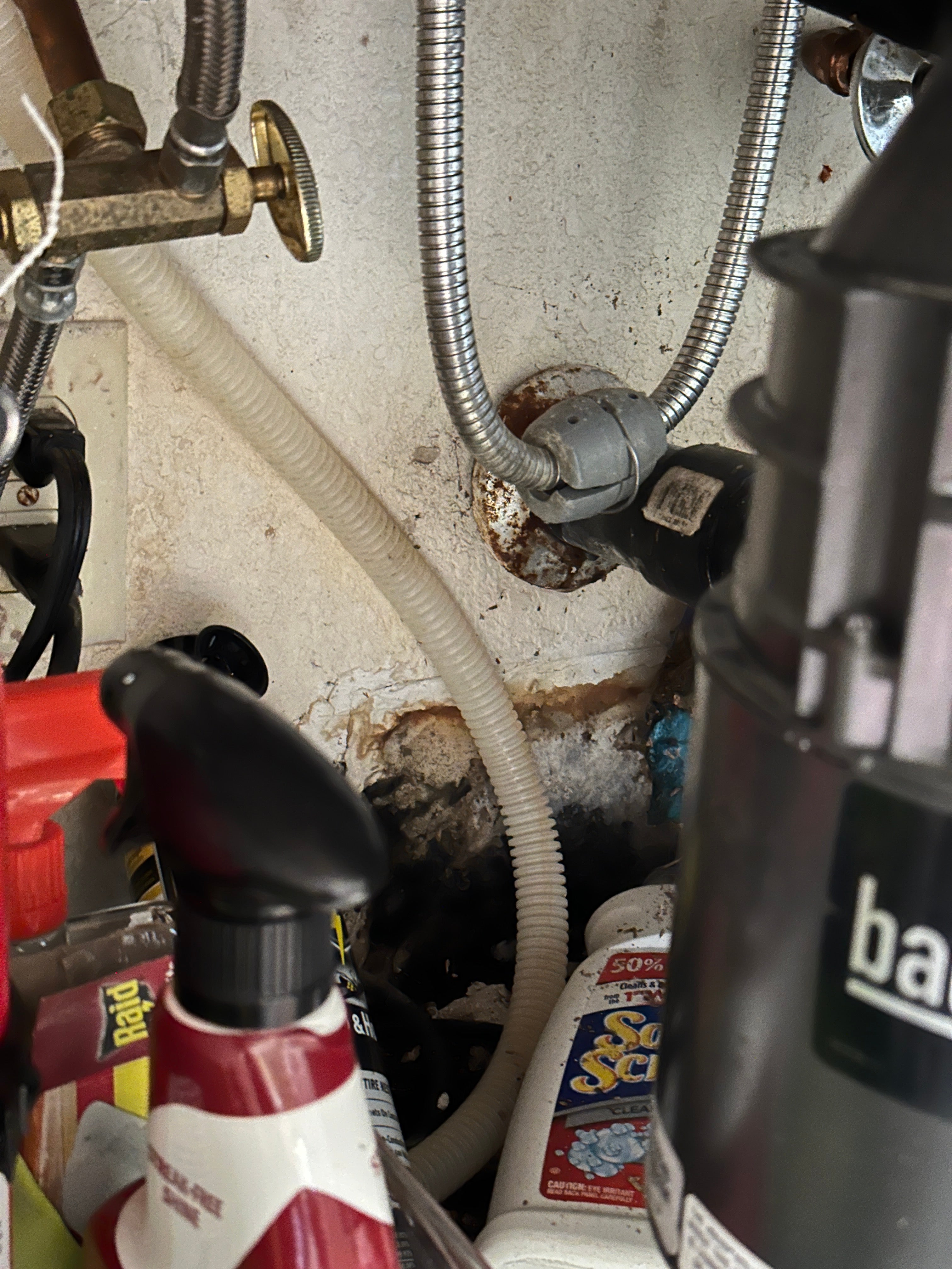 Close-up of black mold growth behind cleaning products under a kitchen sink, indicating water damage in Antioch, CA.