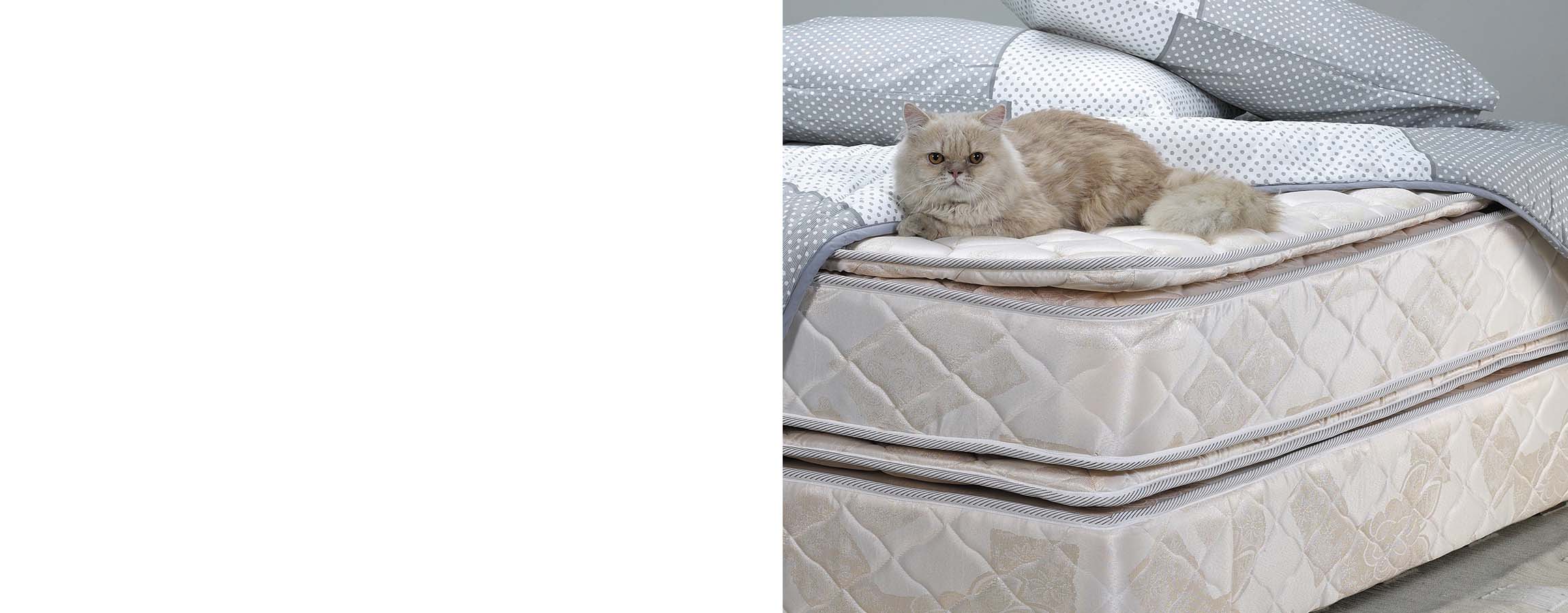 How to dispose of your box spring bed base _feature.jpg