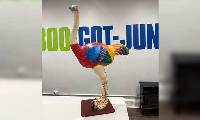 A rainbow ostrich on a desk
